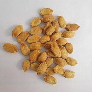 ENINE Bittergourd Seed