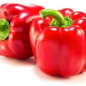 Vietrian Capsicum seeds, Red capsicum seeds Seed