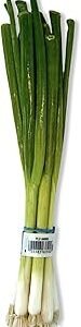 Green Onions (Scallions), One Bunch