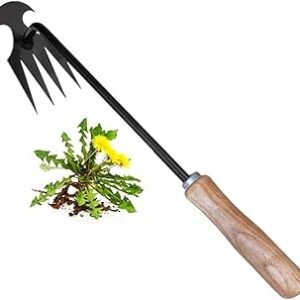 REDBUILD® Garden Weeding Tool with Wooden Handle || Weeder Hand Tool 4 Claws || High Carbon Steel || Manual Weed Puller for Lawn and Garden || Gardening Tools || Weed Removal Tool (Carbon Steel)
