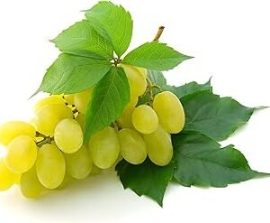 Fresh Grapes Green Seedless, 500 g