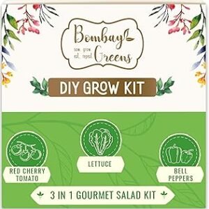 3 in 1 Salad Gardening Kit | DIY Kit of Vegetable Seeds for Home Garden | Combo Seeds for Gardening | Grow Your Own Kit - Lettuce Seed, Cherry Tomato Seeds & Bell Pepper Plant Seeds
